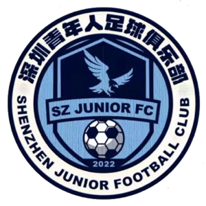 深圳新鹏城